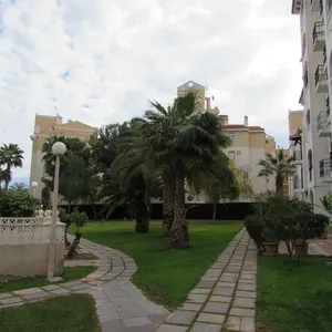Бунгало в Торревьеха, фото 5