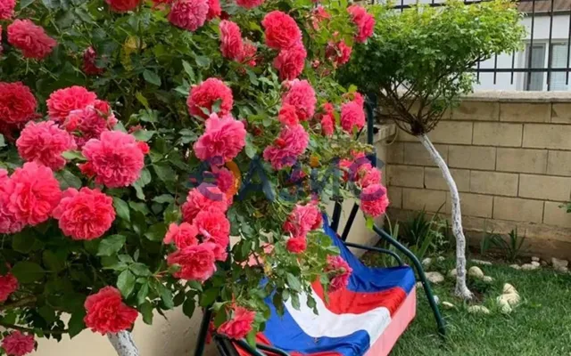 Квартира в Балчик