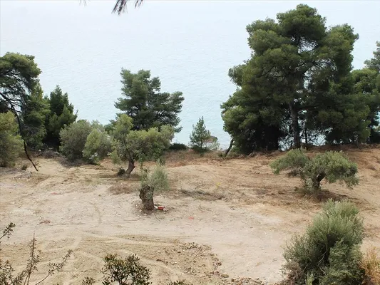 Земельный участок в Kassandra Municipality