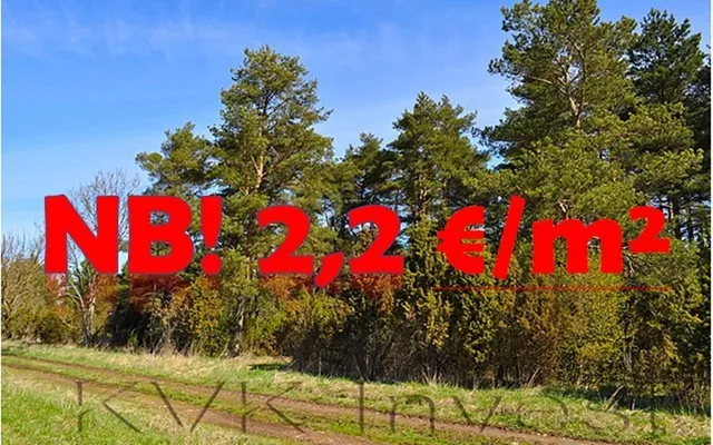 Земельный участок в Таллинн