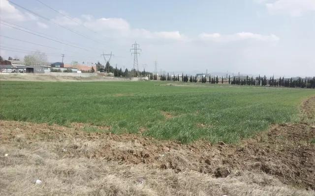 Земельный участок в Municipal Unit of Echedoros