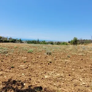 Земельный участок в Панорама, фото 5