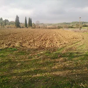 Земельный участок в Kassandra Municipality, фото 4