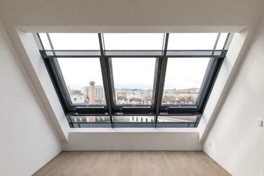 Пентхаус в Вена