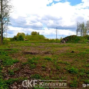 Земельный участок в Ряни, фото 3