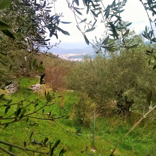 Земельный участок в Corfu, фото 1