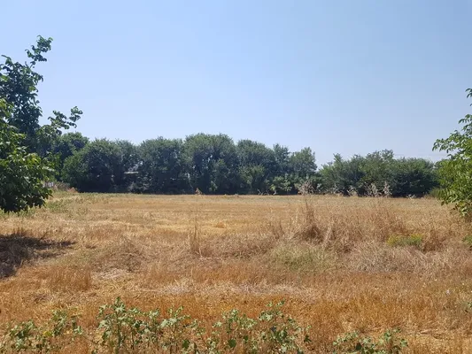 Земельный участок в Kassandra Municipality