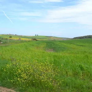 Земельный участок в Kassandra Municipality, фото 2