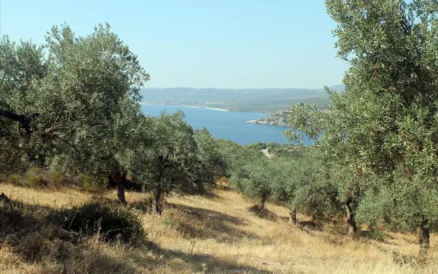 Земельный участок в Aristotle University of Thessaloniki