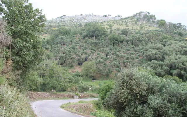 Земельный участок в Corfu