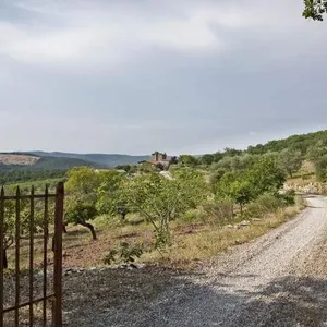 Квартира в Радда-ин-Кьянти, фото 5