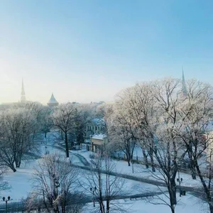 Квартира в Старая Рига, фото 4
