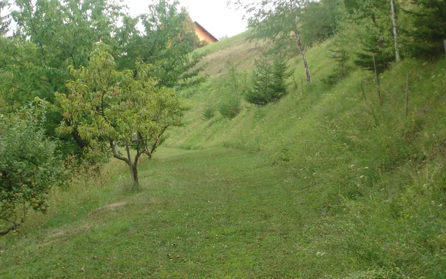Дом в Словенське Конице