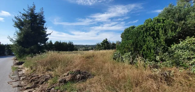 Земельный участок в Kassandra Municipality