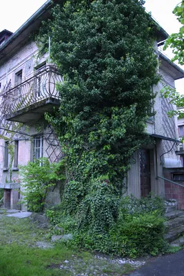 Дом в Любляна