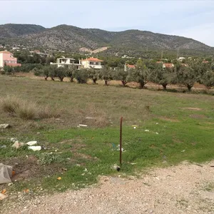 Земельный участок в Agioi Theodoroi, фото 3