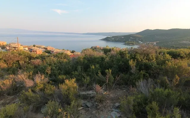 Земельный участок в Aristotle University of Thessaloniki