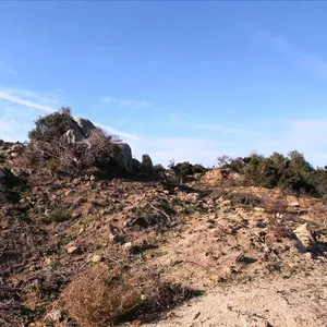 Земельный участок в Ситониа, фото 4