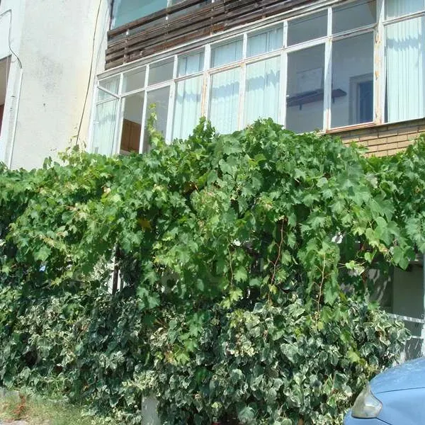 Квартира в Будва, фото 1