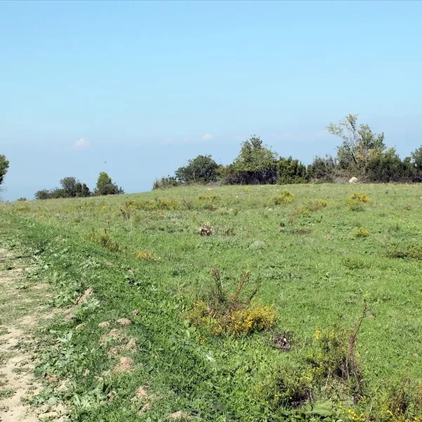 Земельный участок в Kassandra Municipality, фото 1