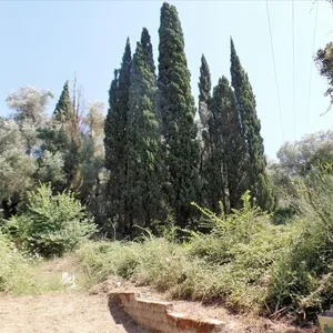 Земельный участок в Corfu, фото 2
