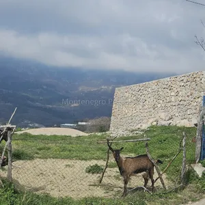Земельный участок в Барская Ривьера, фото 4