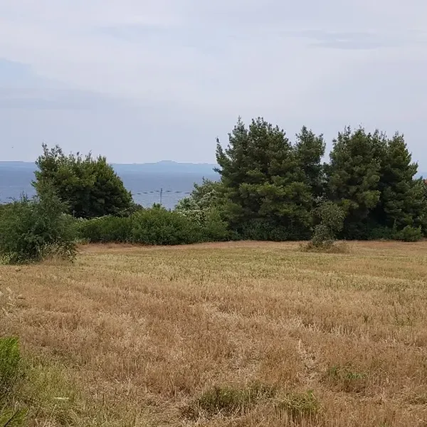 Земельный участок в Kassandra Municipality, фото 1
