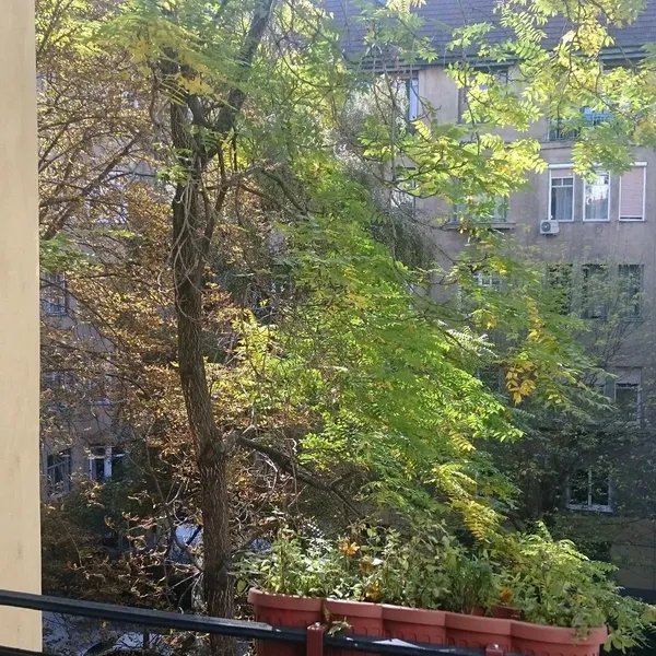 Квартира в Будапешт, фото 1