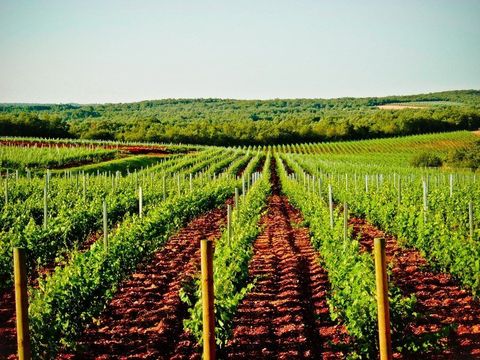 Земельный участок в Виснян