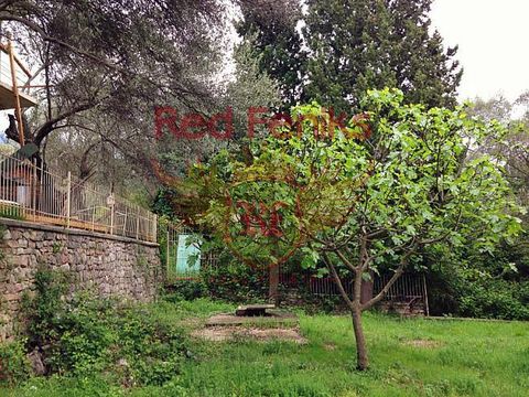 Земельный участок в Булджарика