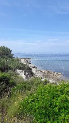 Земельный участок в Вир