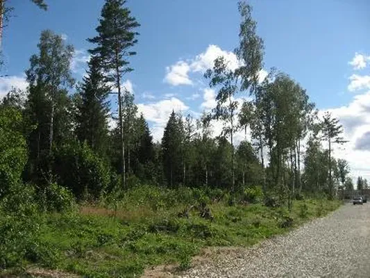 Земельный участок в Кохила