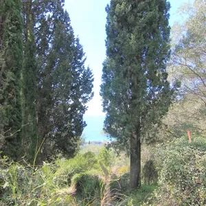 Земельный участок в Corfu, фото 3