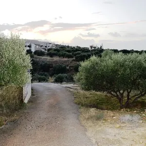 Земельный участок в Гувес, фото 3
