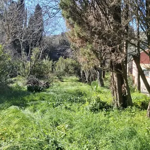 Земельный участок в Corfu, фото 3