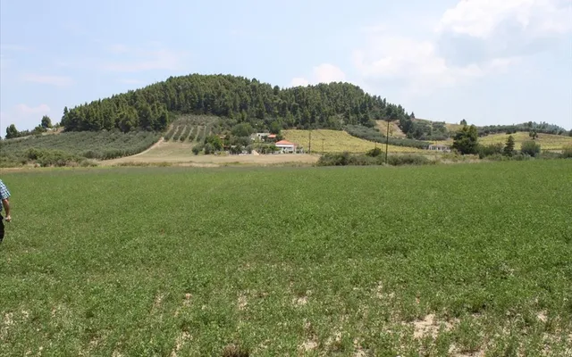 Земельный участок в Kassandra Municipality