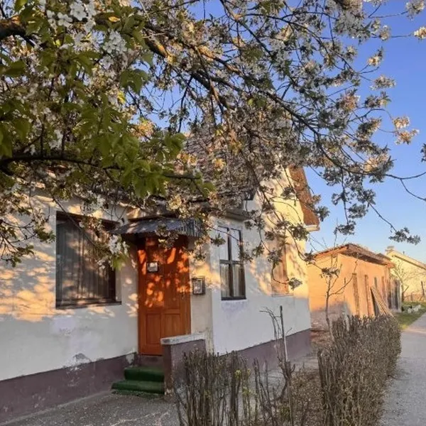 Квартира в Сербия, фото 1