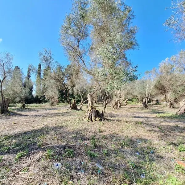 Земельный участок в Corfu, фото 1