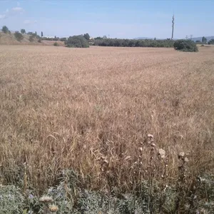 Земельный участок в Thessaloniki Inner Ring Road, фото 4