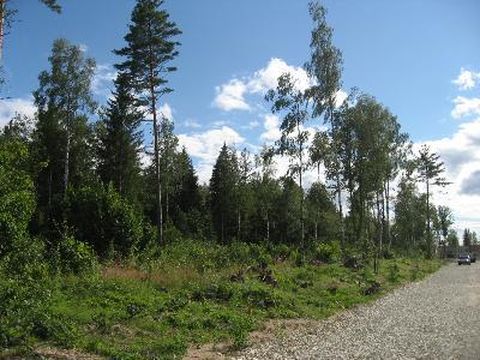 Земельный участок в Кохила