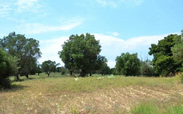 Земельный участок в Kassandra Municipality