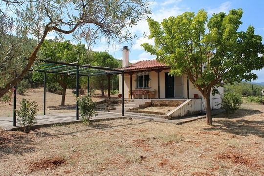 Отдельный дом в Вилия