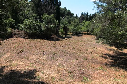 Земельный участок в Корфу