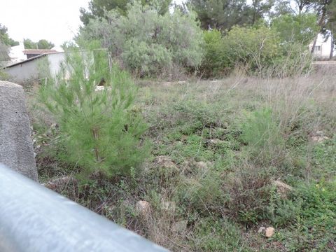 Земельный участок в Бенисса