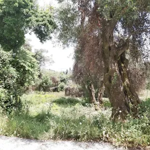 Земельный участок в Corfu, фото 4