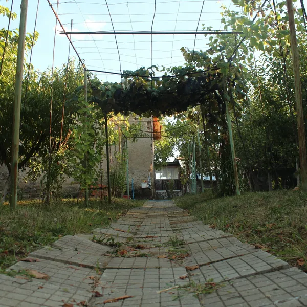 Вилла в Болгария, фото 1