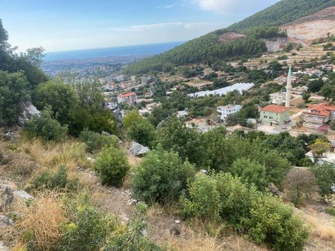 Земельный участок в Оба Махаллеси