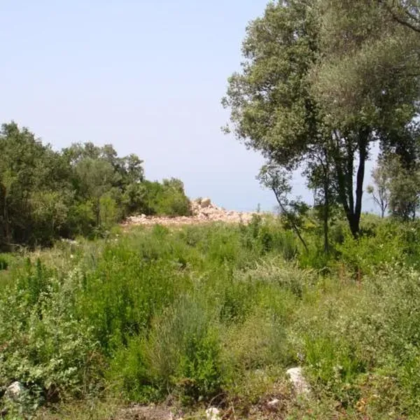 Земельный участок в Бар, фото 1