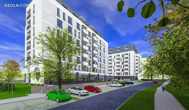 Platany in Kolobrzeg