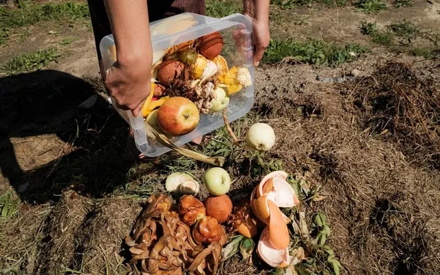 Сфера услуг в Сутоморе